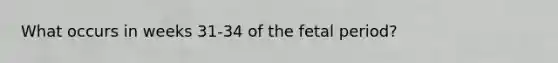 What occurs in weeks 31-34 of the fetal period?