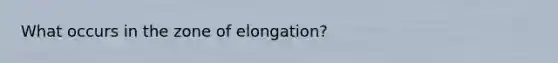 What occurs in the zone of elongation?