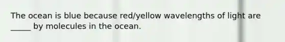 The ocean is blue because red/yellow wavelengths of light are _____ by molecules in the ocean.