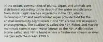 In the ocean, communities of plants, algae, and animals are distributed according to the depth of the water and distance from shore. Light reaches organisms in the *1*, where microscopic *2* and multicellular algae provide food for the animal community. Light levels in the *3* are too low to support photosynthesis. The seafloor is called the *4*. Fishes and marine mammals swim in open water known as the *5*. A distinctive biome called a(n) *6* is found where a freshwater stream or river merges with the ocean. FIND 6