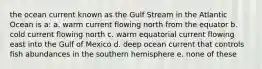 the ocean current known as the Gulf Stream in the Atlantic Ocean is a: a. warm current flowing north from the equator b. cold current flowing north c. warm equatorial current flowing east into the Gulf of Mexico d. deep ocean current that controls fish abundances in the southern hemisphere e. none of these