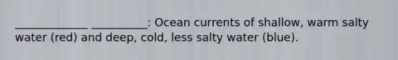 _____________ __________: Ocean currents of shallow, warm salty water (red) and deep, cold, less salty water (blue).