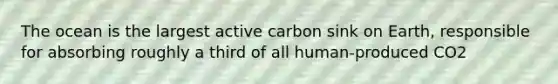 The ocean is the largest active carbon sink on Earth, responsible for absorbing roughly a third of all human-produced CO2