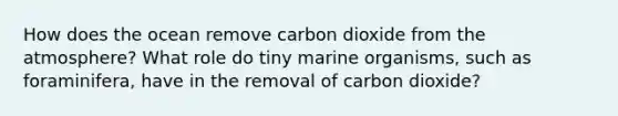 How does the ocean remove carbon dioxide from the atmosphere? What role do tiny marine organisms, such as foraminifera, have in the removal of carbon dioxide?