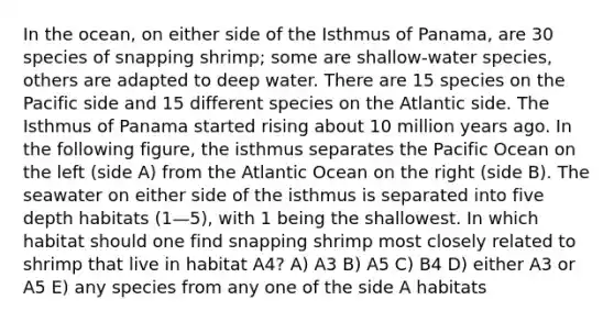 In the ocean, on either side of the Isthmus of Panama, are 30 species of snapping shrimp; some are shallow-water species, others are adapted to deep water. There are 15 species on the Pacific side and 15 different species on the Atlantic side. The Isthmus of Panama started rising about 10 million years ago. In the following figure, the isthmus separates the Pacific Ocean on the left (side A) from the Atlantic Ocean on the right (side B). The seawater on either side of the isthmus is separated into five depth habitats (1—5), with 1 being the shallowest. In which habitat should one find snapping shrimp most closely related to shrimp that live in habitat A4? A) A3 B) A5 C) B4 D) either A3 or A5 E) any species from any one of the side A habitats