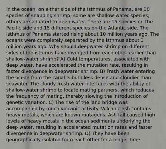 In the ocean, on either side of the Isthmus of Panama, are 30 species of snapping shrimp; some are shallow-water species, others are adapted to deep water. There are 15 species on the Pacific side and 15 different species on the Atlantic side. The Isthmus of Panama started rising about 10 million years ago. The oceans were completely separated by the isthmus about 3 million years ago. Why should deepwater shrimp on different sides of the isthmus have diverged from each other earlier than shallow-water shrimp? A) Cold temperatures, associated with deep water, have accelerated the mutation rate, resulting in faster divergence in deepwater shrimp. B) Fresh water entering the ocean from the canal is both less dense and cloudier than seawater. The cloudy fresh water interferes with the ability of shallow-water shrimp to locate mating partners, which reduces the frequency of mating, thereby slowing the introduction of genetic variation. C) The rise of the land bridge was accompanied by much volcanic activity. Volcanic ash contains heavy metals, which are known mutagens. Ash fall caused high levels of heavy metals in the ocean sediments underlying the deep water, resulting in accelerated mutation rates and faster divergence in deepwater shrimp. D) They have been geographically isolated from each other for a longer time.