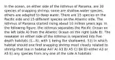 In the ocean, on either side of the Isthmus of Panama, are 30 species of snapping shrimp; some are shallow-water species, others are adapted to deep water. There are 15 species on the Pacific side and 15 different species on the Atlantic side. The Isthmus of Panama started rising about 10 million years ago. In the following figure, the isthmus separates the Pacific Ocean on the left (side A) from the Atlantic Ocean on the right (side B). The seawater on either side of the isthmus is separated into five depth habitats (1—5), with 1 being the shallowest. 51) In which habitat should one find snapping shrimp most closely related to shrimp that live in habitat A4? A) A3 B) A5 C) B4 D) either A3 or A5 E) any species from any one of the side A habitats