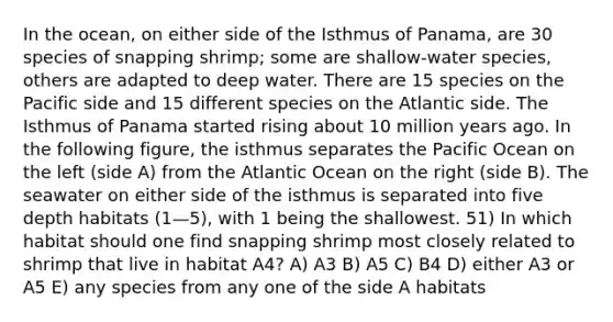 In the ocean, on either side of the Isthmus of Panama, are 30 species of snapping shrimp; some are shallow-water species, others are adapted to deep water. There are 15 species on the Pacific side and 15 different species on the Atlantic side. The Isthmus of Panama started rising about 10 million years ago. In the following figure, the isthmus separates the Pacific Ocean on the left (side A) from the Atlantic Ocean on the right (side B). The seawater on either side of the isthmus is separated into five depth habitats (1—5), with 1 being the shallowest. 51) In which habitat should one find snapping shrimp most closely related to shrimp that live in habitat A4? A) A3 B) A5 C) B4 D) either A3 or A5 E) any species from any one of the side A habitats