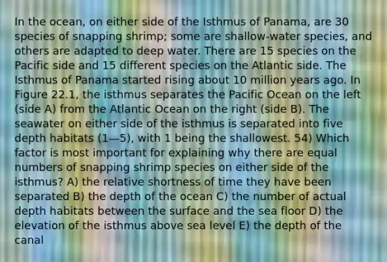 In the ocean, on either side of the Isthmus of Panama, are 30 species of snapping shrimp; some are shallow-water species, and others are adapted to deep water. There are 15 species on the Pacific side and 15 different species on the Atlantic side. The Isthmus of Panama started rising about 10 million years ago. In Figure 22.1, the isthmus separates the Pacific Ocean on the left (side A) from the Atlantic Ocean on the right (side B). The seawater on either side of the isthmus is separated into five depth habitats (1—5), with 1 being the shallowest. 54) Which factor is most important for explaining why there are equal numbers of snapping shrimp species on either side of the isthmus? A) the relative shortness of time they have been separated B) the depth of the ocean C) the number of actual depth habitats between the surface and the sea floor D) the elevation of the isthmus above sea level E) the depth of the canal