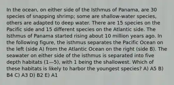 In the ocean, on either side of the Isthmus of Panama, are 30 species of snapping shrimp; some are shallow-water species, others are adapted to deep water. There are 15 species on the Pacific side and 15 different species on the Atlantic side. The Isthmus of Panama started rising about 10 million years ago. In the following figure, the isthmus separates the Pacific Ocean on the left (side A) from the Atlantic Ocean on the right (side B). The seawater on either side of the isthmus is separated into five depth habitats (1—5), with 1 being the shallowest. Which of these habitats is likely to harbor the youngest species? A) A5 B) B4 C) A3 D) B2 E) A1