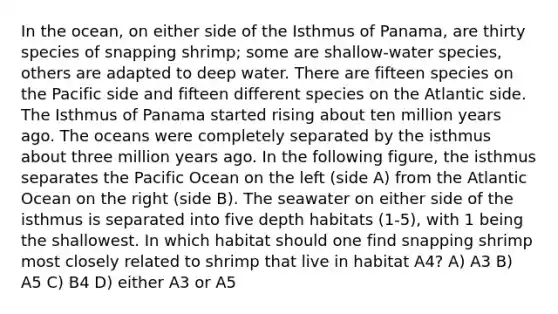 In the ocean, on either side of the Isthmus of Panama, are thirty species of snapping shrimp; some are shallow-water species, others are adapted to deep water. There are fifteen species on the Pacific side and fifteen different species on the Atlantic side. The Isthmus of Panama started rising about ten million years ago. The oceans were completely separated by the isthmus about three million years ago. In the following figure, the isthmus separates the Pacific Ocean on the left (side A) from the Atlantic Ocean on the right (side B). The seawater on either side of the isthmus is separated into five depth habitats (1-5), with 1 being the shallowest. In which habitat should one find snapping shrimp most closely related to shrimp that live in habitat A4? A) A3 B) A5 C) B4 D) either A3 or A5