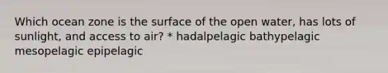 Which ocean zone is the surface of the open water, has lots of sunlight, and access to air? * hadalpelagic bathypelagic mesopelagic epipelagic