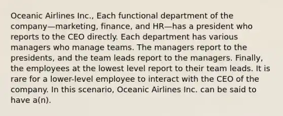 Oceanic Airlines Inc., Each functional department of the company—marketing, finance, and HR—has a president who reports to the CEO directly. Each department has various managers who manage teams. The managers report to the presidents, and the team leads report to the managers. Finally, the employees at the lowest level report to their team leads. It is rare for a lower-level employee to interact with the CEO of the company. In this scenario, Oceanic Airlines Inc. can be said to have a(n).