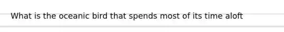 What is the oceanic bird that spends most of its time aloft
