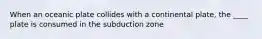 When an oceanic plate collides with a continental plate, the ____ plate is consumed in the subduction zone
