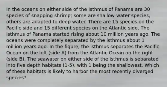 In the oceans on either side of the Isthmus of Panama are 30 species of snapping shrimp; some are shallow-water species, others are adapted to deep water. There are 15 species on the Pacific side and 15 different species on the Atlantic side. The Isthmus of Panama started rising about 10 million years ago. The oceans were completely separated by the isthmus about 3 million years ago. In the figure, the isthmus separates the Pacific Ocean on the left (side A) from the Atlantic Ocean on the right (side B). The seawater on either side of the isthmus is separated into five depth habitats (1-5), with 1 being the shallowest. Which of these habitats is likely to harbor the most recently diverged species?