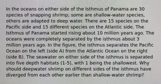 In the oceans on either side of the Isthmus of Panama are 30 species of snapping shrimp; some are shallow-water species, others are adapted to deep water. There are 15 species on the Pacific side and 15 different species on the Atlantic side. The Isthmus of Panama started rising about 10 million years ago. The oceans were completely separated by the isthmus about 3 million years ago. In the figure, the isthmus separates the Pacific Ocean on the left (side A) from the Atlantic Ocean on the right (side B). The seawater on either side of the isthmus is separated into five depth habitats (1-5), with 1 being the shallowest. Why should deepwater shrimp on different sides of the isthmus have diverged from each other earlier than shallow-water shrimp?