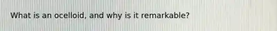 What is an ocelloid, and why is it remarkable?