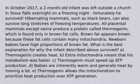 In October 2017, a 2-month-old infant was left outside a church in Sioux Falls overnight on a freezing night - fortunately he survived! Hibernating mammals, such as black bears, can also survive long stretches of freezing temperatures. All placental mammals except swine produce a protein called thermogenin, which is found only in brown fat cells. Brown fat appears brown because these fat cells contain many mitochondria. Newborn babies have high proportions of brown fat. What is the best explanation for why the infant described above survived? a) Thermogenin creates heat. b) Extra mitochondria meant that his metabolism was faster. c) Thermogenin must speed up ATP production. d) Babies are inherently warm and generate heat by moving a lot. e) Thermogenin allows the mitochondrion to prioritize heat production over ATP generation.