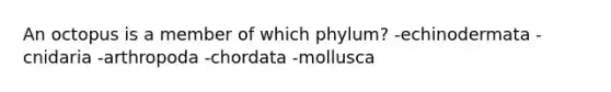 An octopus is a member of which phylum? -echinodermata -cnidaria -arthropoda -chordata -mollusca