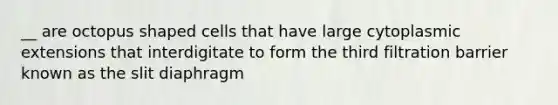 __ are octopus shaped cells that have large cytoplasmic extensions that interdigitate to form the third filtration barrier known as the slit diaphragm