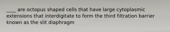 ____ are octopus shaped cells that have large cytoplasmic extensions that interdigitate to form the third filtration barrier known as the slit diaphragm