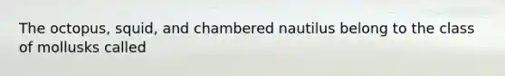 The octopus, squid, and chambered nautilus belong to the class of mollusks called