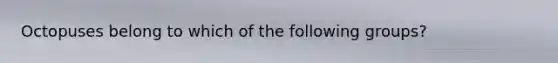 Octopuses belong to which of the following groups?