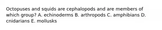 Octopuses and squids are cephalopods and are members of which group? A. echinoderms B. arthropods C. amphibians D. cnidarians E. mollusks
