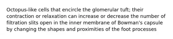 Octopus-like cells that encircle the glomerular tuft; their contraction or relaxation can increase or decrease the number of filtration slits open in the inner membrane of Bowman's capsule by changing the shapes and proximities of the foot processes