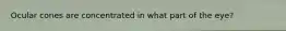 Ocular cones are concentrated in what part of the eye?