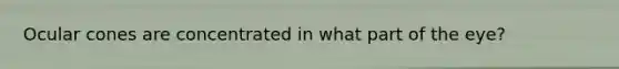 Ocular cones are concentrated in what part of the eye?
