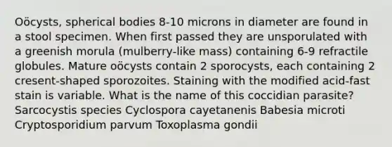 Oöcysts, spherical bodies 8-10 microns in diameter are found in a stool specimen. When first passed they are unsporulated with a greenish morula (mulberry-like mass) containing 6-9 refractile globules. Mature oöcysts contain 2 sporocysts, each containing 2 cresent-shaped sporozoites. Staining with the modified acid-fast stain is variable. What is the name of this coccidian parasite? Sarcocystis species Cyclospora cayetanenis Babesia microti Cryptosporidium parvum Toxoplasma gondii