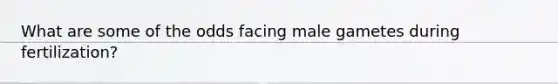 What are some of the odds facing male gametes during fertilization?