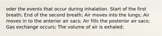 oder the events that occur during inhalation. Start of the first breath; End of the second breath; Air moves into the lungs; Air moves in to the anterior air sacs; Air fills the posterior air sacs; Gas exchange occurs; The volume of air is exhaled;