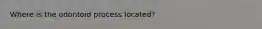 Where is the odontoid process located?