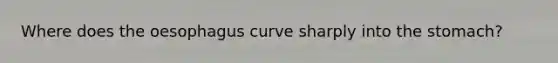 Where does the oesophagus curve sharply into the stomach?