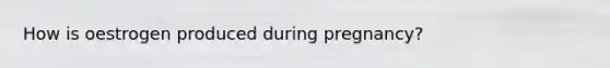 How is oestrogen produced during pregnancy?