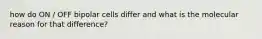 how do ON / OFF bipolar cells differ and what is the molecular reason for that difference?