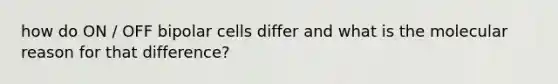 how do ON / OFF bipolar cells differ and what is the molecular reason for that difference?