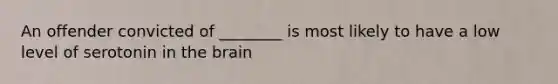 An offender convicted of ________ is most likely to have a low level of serotonin in the brain