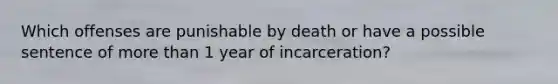 Which offenses are punishable by death or have a possible sentence of more than 1 year of incarceration?