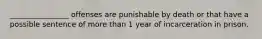 ________________ offenses are punishable by death or that have a possible sentence of more than 1 year of incarceration in prison.