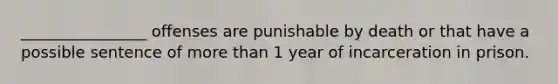 ________________ offenses are punishable by death or that have a possible sentence of more than 1 year of incarceration in prison.