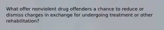 What offer nonviolent drug offenders a chance to reduce or dismiss charges in exchange for undergoing treatment or other rehabilitation?