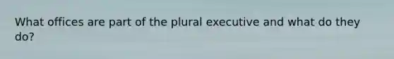 What offices are part of the plural executive and what do they do?