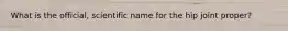 What is the official, scientific name for the hip joint proper?