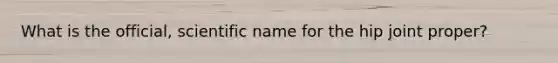 What is the official, scientific name for the hip joint proper?