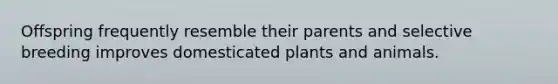 Offspring frequently resemble their parents and selective breeding improves domesticated plants and animals.