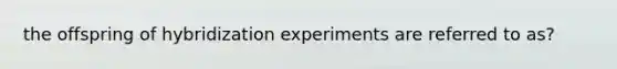 the offspring of hybridization experiments are referred to as?